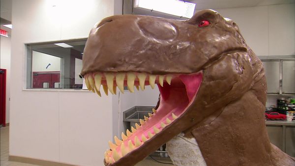 Cake Boss - Paleontology and Popping the Question