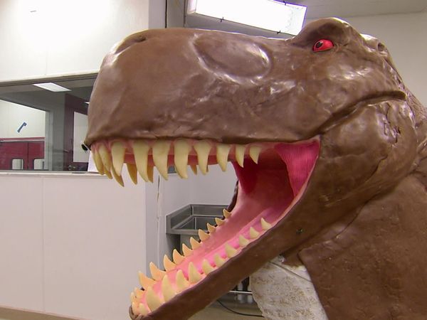 Cake Boss - Paleontology and Popping the Question