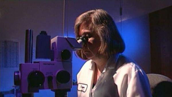 Medical Detectives - Brotherhoods