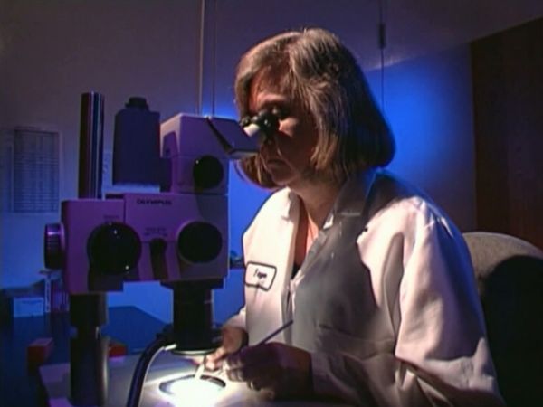 Medical Detectives - Brotherhoods