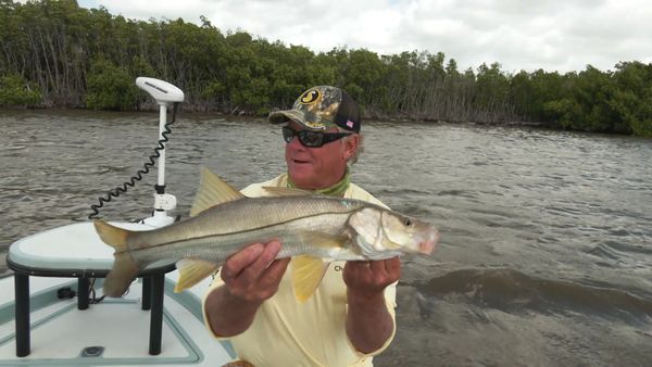 Blair Wiggins Outdoors - Windy Glades