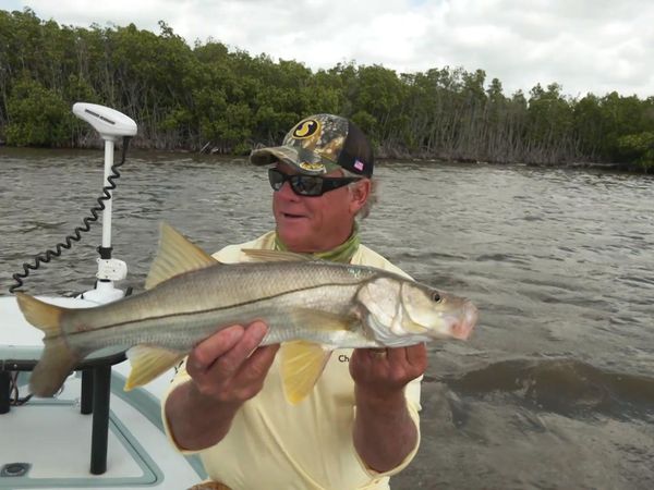 Blair Wiggins Outdoors - Windy Glades