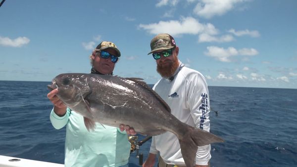 Blair Wiggins Outdoors - Southernmost Starbrite