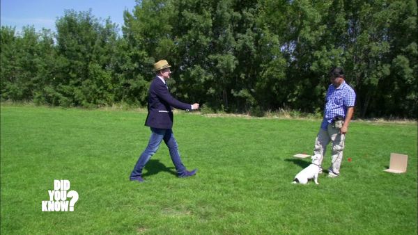 Did You Know? - Animal Intelligence
