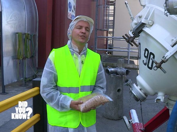 Did You Know? - How It's Made