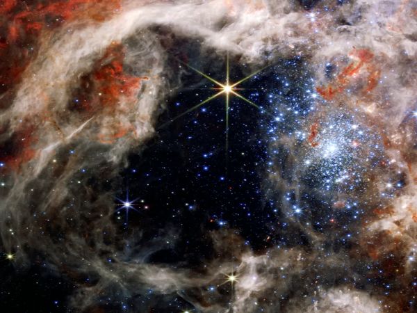 New Frontier - Webb of life