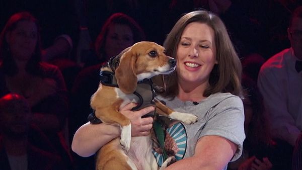 Idiotest - Cat Lovers vs. Dog Lovers