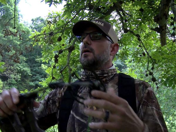 Americana Outdoors - Bow Hunting For Big Whitetails
