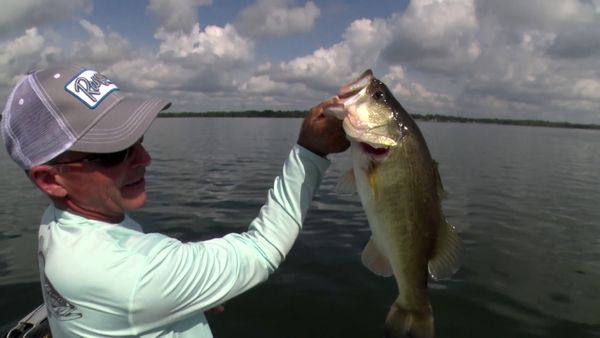 Fishing & Hunting Texas - Fayette County