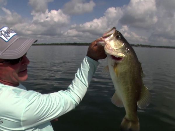 Fishing & Hunting Texas - Fayette County