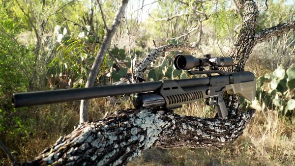 Fishing & Hunting Texas - .50 Cal Air Rifles For Hunting