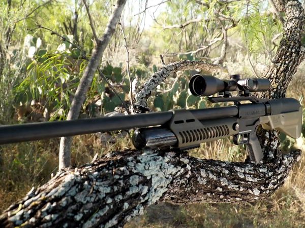 Fishing & Hunting Texas - .50 Cal Air Rifles For Hunting