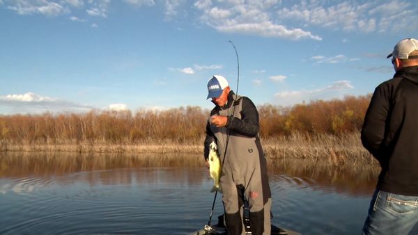Fishing & Hunting Texas - Texas Bass Fishing Tips