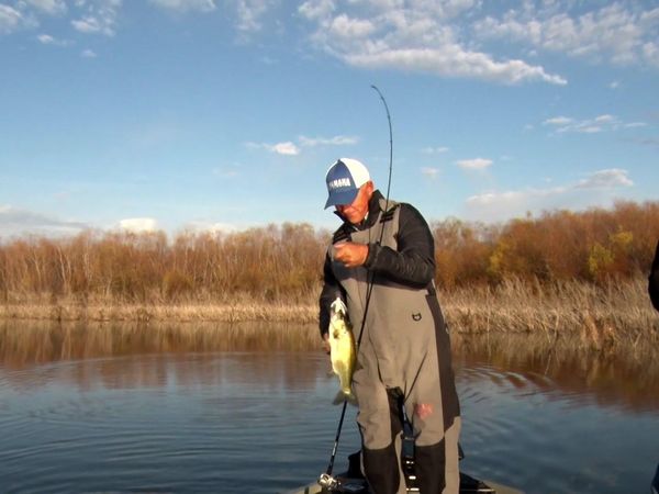 Fishing & Hunting Texas - Texas Bass Fishing Tips