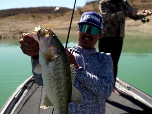 Fishing & Hunting Texas - Hunting Turkeys and Catchin' Bass With Clark Wendlandt and Brandon Palaniuk