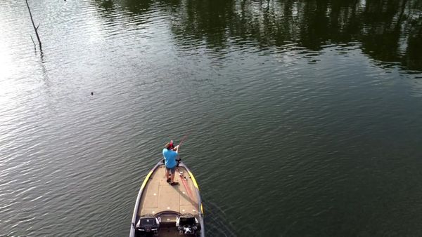 Fisherman's Handbook - What's New for Bass Anglers?