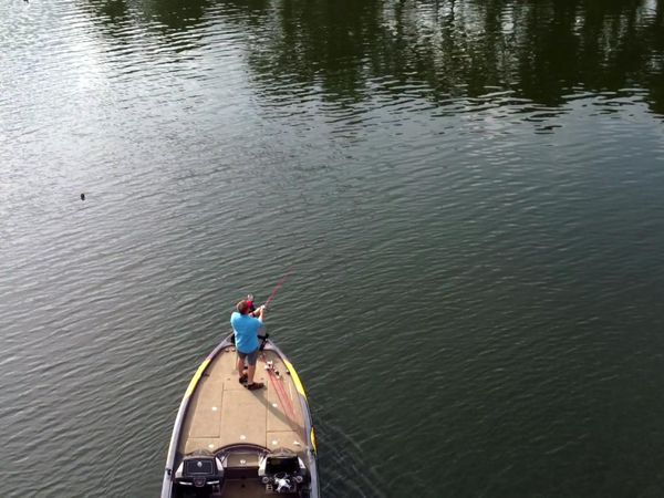 Fisherman's Handbook - What's New for Bass Anglers?