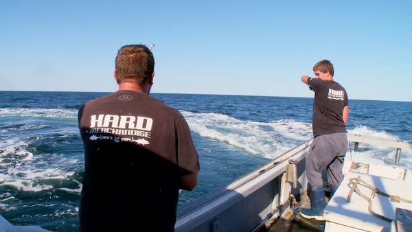 Wicked Tuna - Rückkehr (Spezial)
