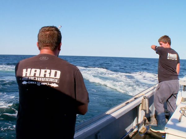 Wicked Tuna - Rückkehr (Spezial)