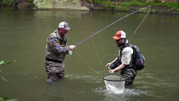 Fly Rod Chronicles - Yellow Creek, PA – A Place of Varied Trophy Catches