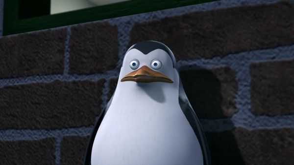 Os Pinguins de Madagascar - Eu fui um pinguim zumbi / Operação picada