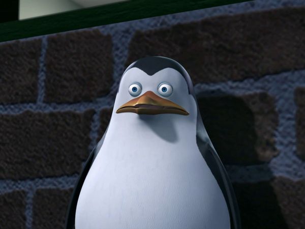 Os Pinguins de Madagascar - Eu fui um pinguim zumbi / Operação picada