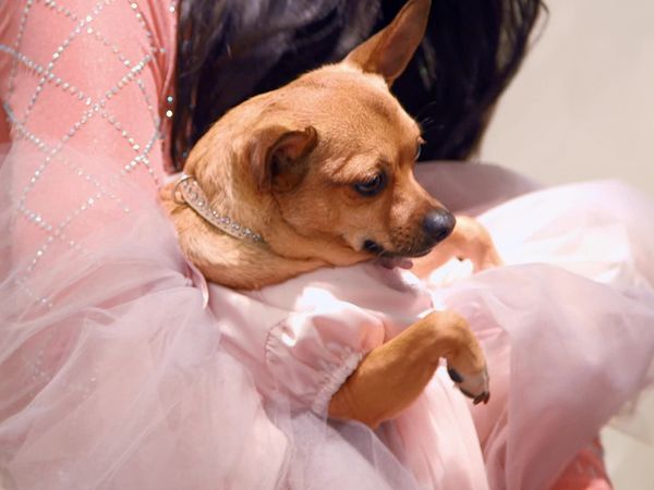 Say Yes to the Dress - Coco is Not Impressed