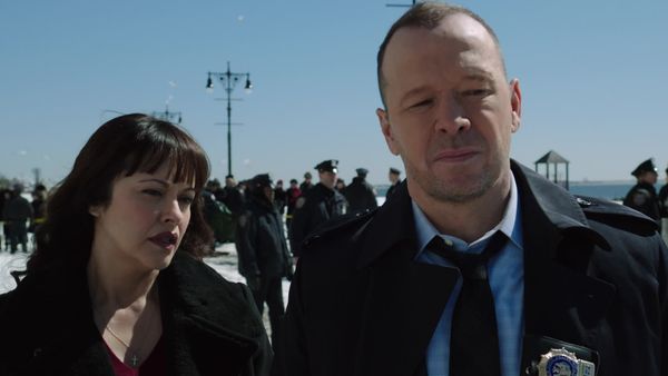Blue Bloods - Foreign Interference