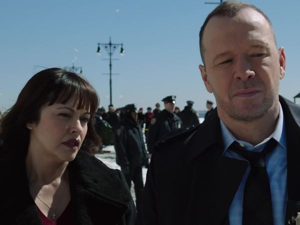 Blue Bloods - Foreign Interference