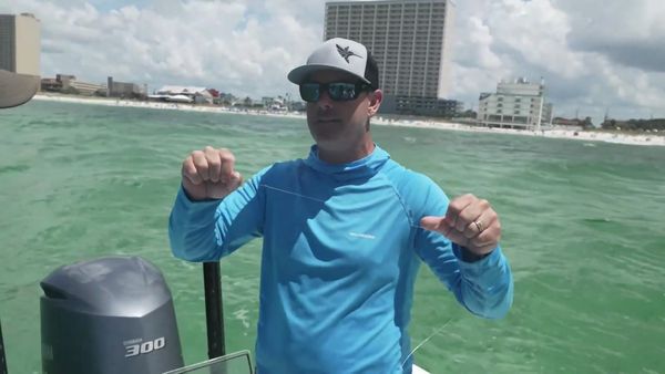 Chasin' The Sun - Life of Travis? And Beyond