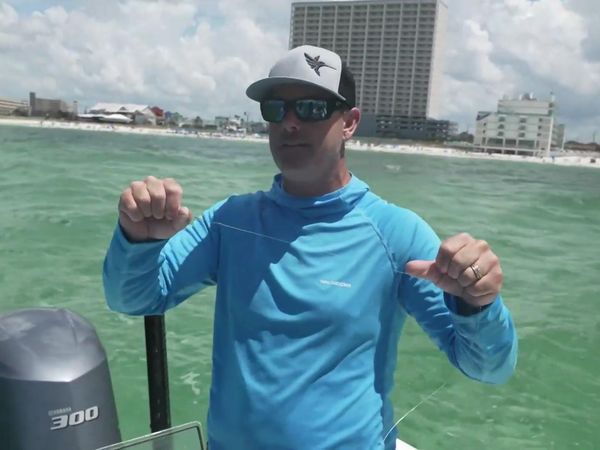 Chasin' The Sun - Life of Travis? And Beyond