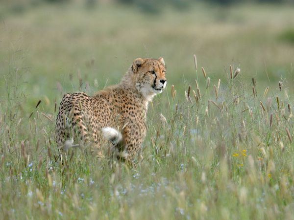 Wild And Alive - The Season's Feast