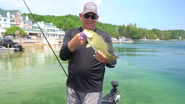 Fisherman's Digest - Manistee Bass Fishing
