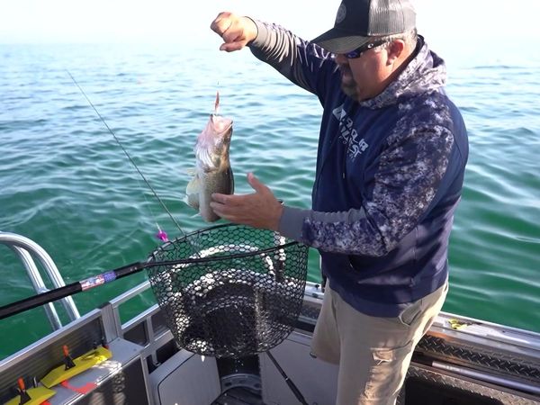 Fisherman's Digest - Saginaw Bay Walleye