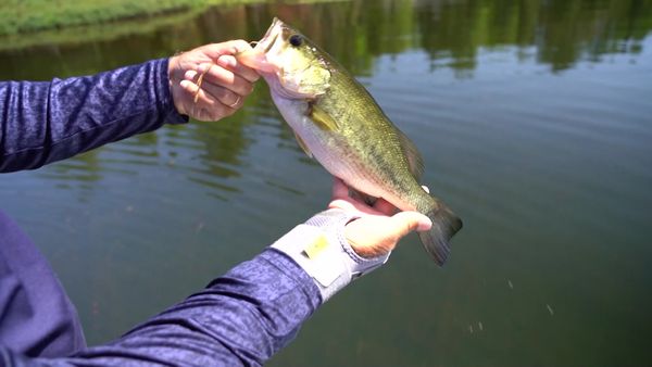 Fisherman's Digest - Marquette Fishing