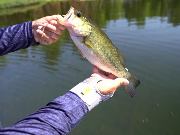 Fisherman's Digest - Marquette Fishing