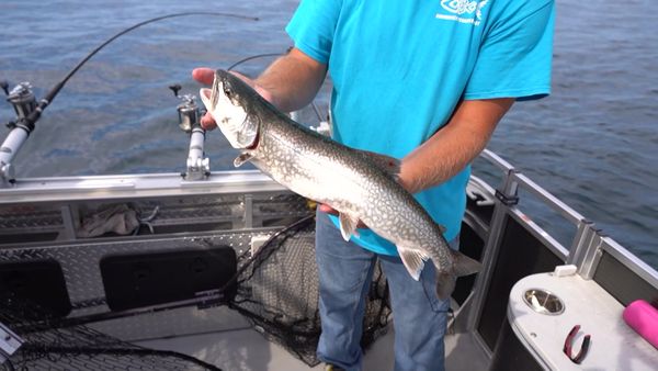 Fisherman's Digest - Alpena Fishing