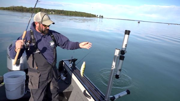Fisherman's Digest - Tawas Walleye