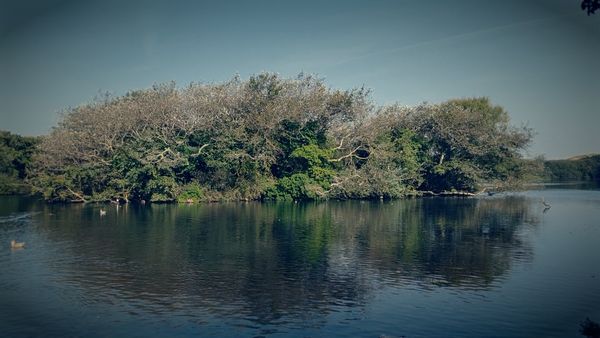 Ghost Dimension - Sands Lake Secrets: Paranormal Mysteries