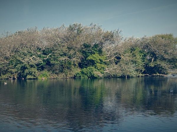 Ghost Dimension - Sands Lake Secrets: Paranormal Mysteries