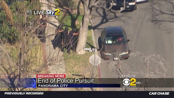 Car Chase - Wild Pursuits: 2013 - Suspect inhales from balloons during standoff with police