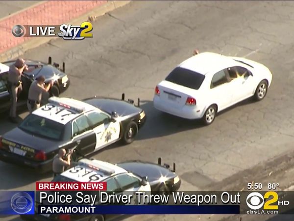 Car Chase - Wild Pursuits: 2013 - Police chase reckless driver who reportedly threw weapon out of the car window