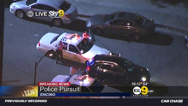 Car Chase - Wild Pursuits: 2013 - Robbery suspect tops 100 mph in black SUV while fleeing police