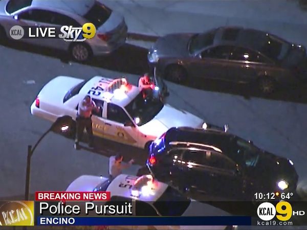 Car Chase - Wild Pursuits: 2013 - Robbery suspect tops 100 mph in black SUV while fleeing police