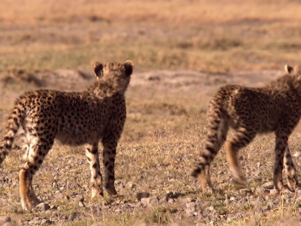 Africa, la más salvaje. - Namibia: Arenas del tiempo