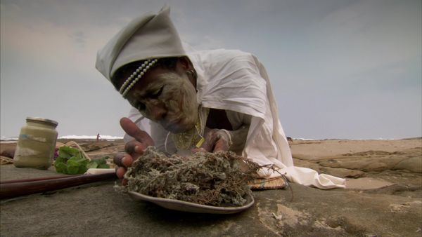Africa, la más salvaje. - Costa del Cabo: Donde los mundos chocan
