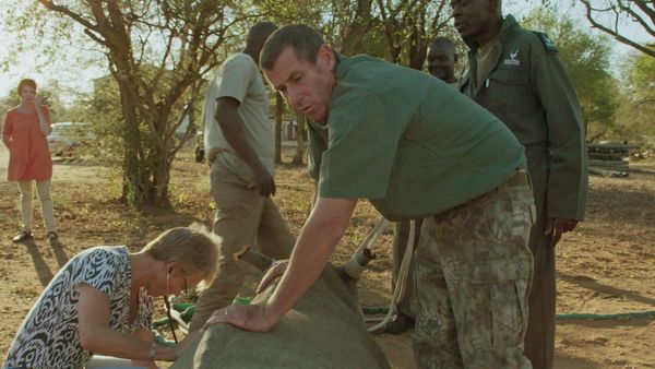 Carter’s W.A.R. - One Rhino at a Time