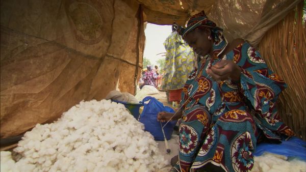 Africa, la más salvaje. - Sáhara: La vida al límite