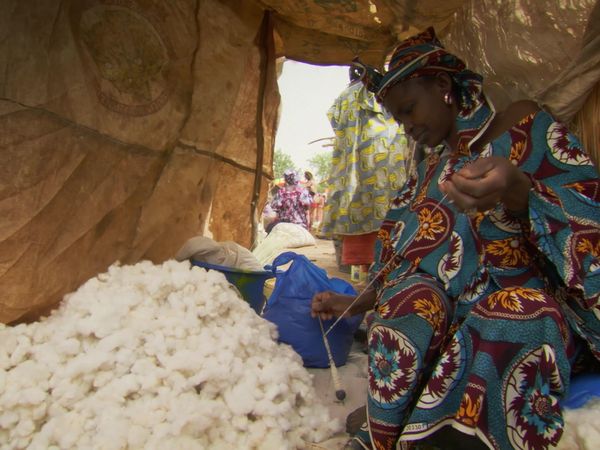 Africa, la más salvaje. - Sáhara: La vida al límite