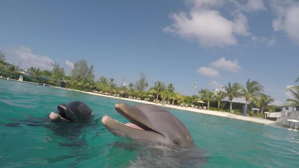 Luxury Travel Show - Grand Cayman & Toledo